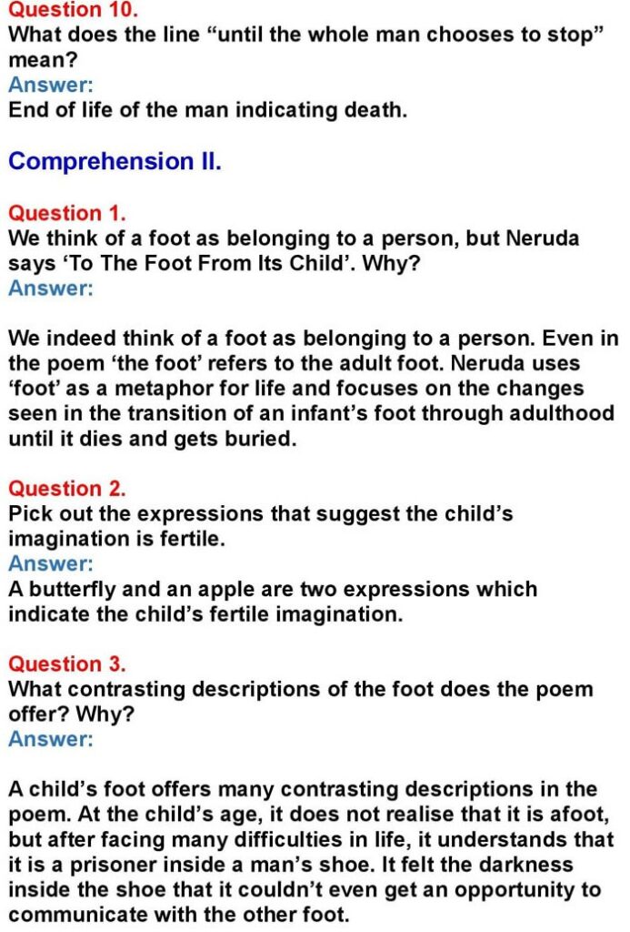 2nd PUC English Chapter 8: To the Foot From its Child (Pablo Neruda)