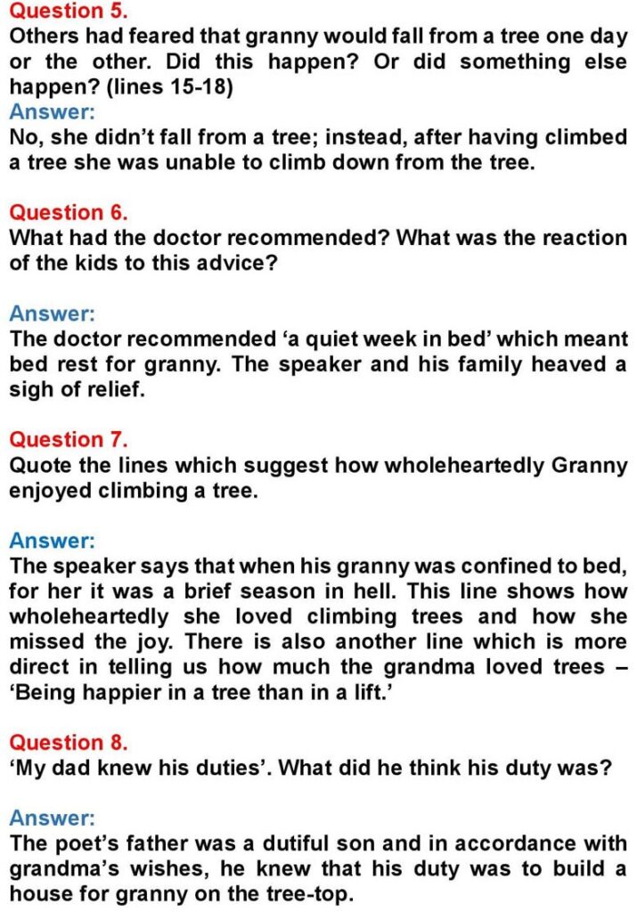 Class 10 English Chapter 1: Grandma Climbs a Tree