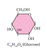 1ST PUC Biology Chapter 9 BIOMOLECULES