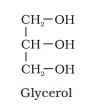 1ST PUC Biology Chapter 9 BIOMOLECULES