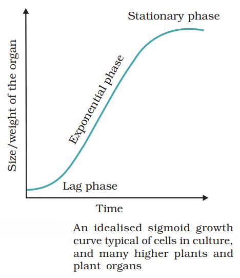 1st PUC Biology Chapter 15 Plant Growth And Development