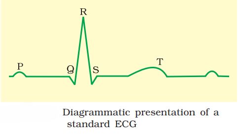1st PUC Biology Chapter 18 BODY FLUIDS AND CIRCULATION