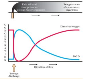 2nd PUC Biology Chapter 16 Environmental Issues
