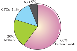 2nd PUC Biology Chapter 16 Environmental Issues