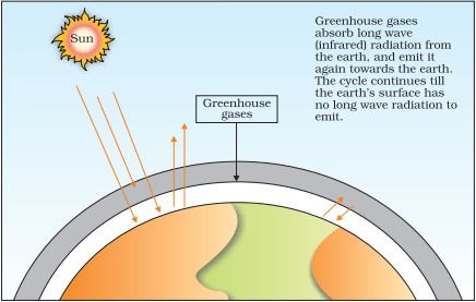 2nd PUC Biology Chapter 16 Environmental Issues