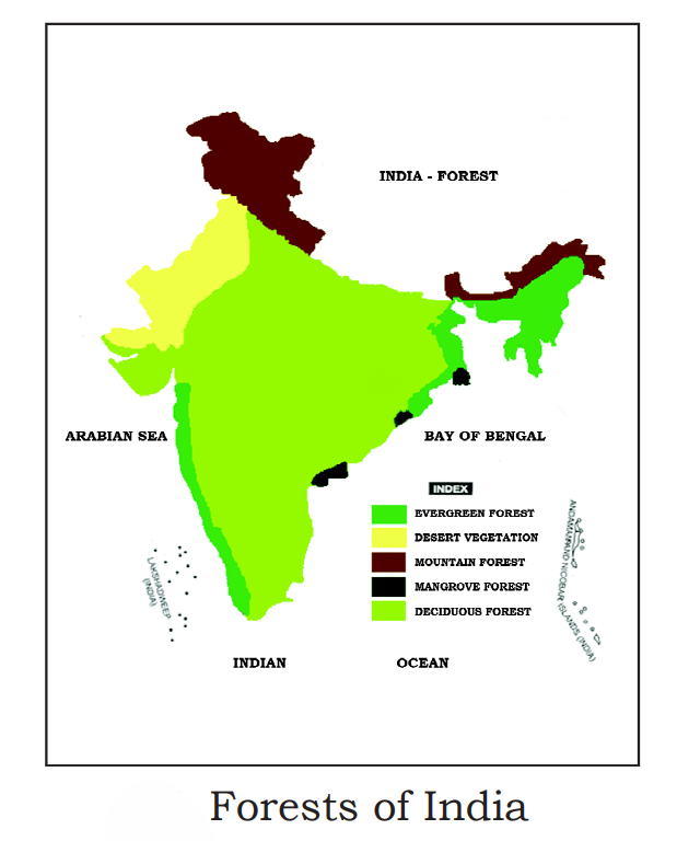1st PUC Geography Chapter 12 Part-C : Cartography